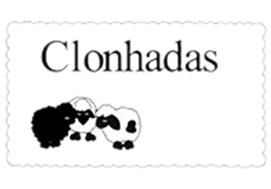 Clonhadas